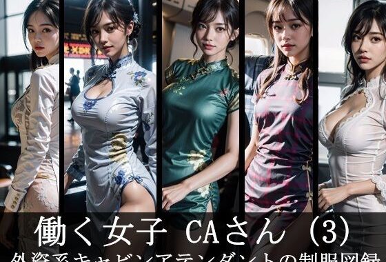 働く女子  CAさん（3） 外資系キャビンアテンダントの制服図録【無料エロ漫画】d_564003…割引クーポンで超お得に