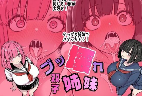 ブッ壊れ双子姉妹【無料エロ漫画】d_641255…無料で読む