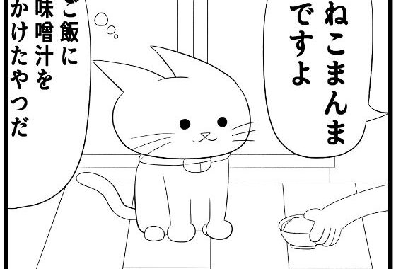 4コマ「味噌汁」【無料エロ漫画】d_644275…実質無料