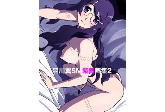 羽川翼SM緊縛画集2【無料エロ漫画】d_649947…無料で読む