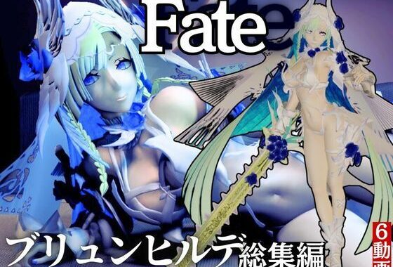 【動画6本】fateからブリュンヒルデとイチャイチャ動画パック登場！究極の造形美を堪能せよ【無料エロ漫画】d_550675…実質無料