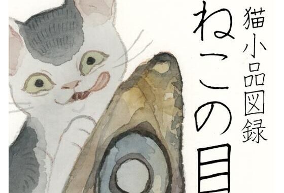 「ねこの目」猫小品図録【無料エロ漫画】d_588062…実質無料