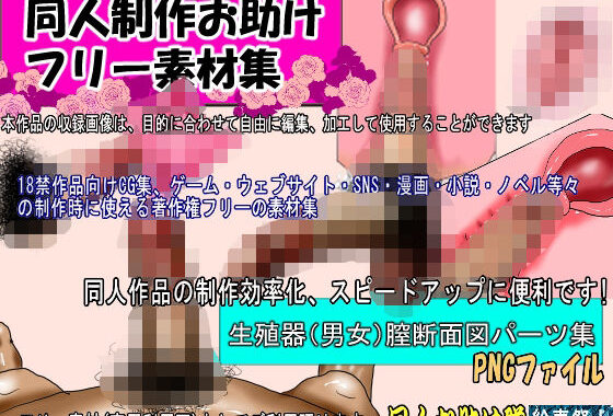 同人制作お助け素材「生殖器男女、断面図素材」【無料エロ漫画】d_643648…割引クーポンで超お得に