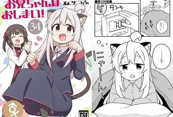 お兄ちゃんはおしまい！34【無料エロ漫画】d_648449…初回クーポンあり